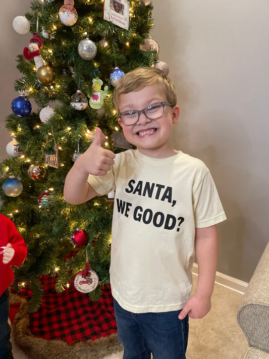 Santa, We Good? Shirt